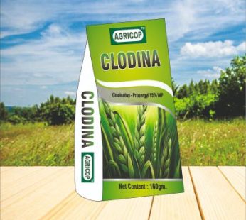 CLODINA Clodinafop-Propargyl 15 % WP