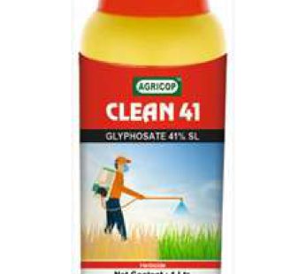 CLEAN 41