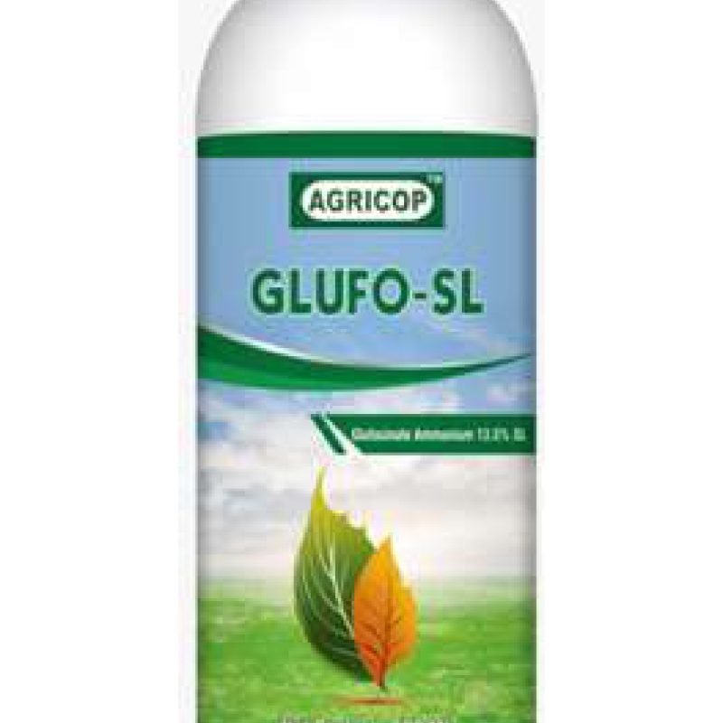 GLUFO - SL