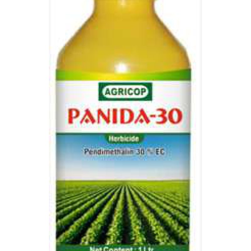 PANIDA- 30