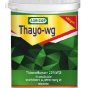 THAYO-WG