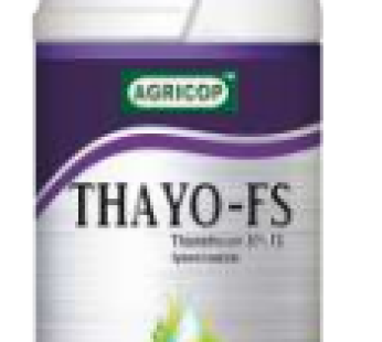 THAYO-FS