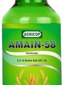 AMAIN-58