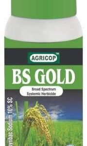 BS GOLD