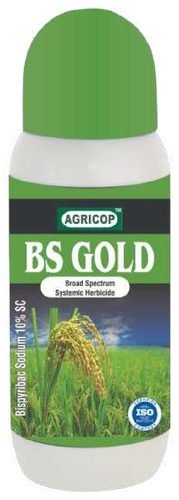 BS GOLD