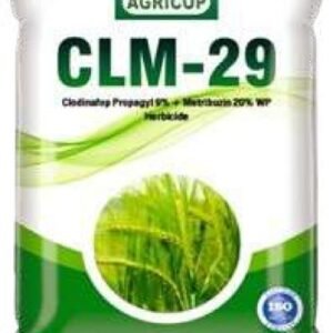 CLM-29