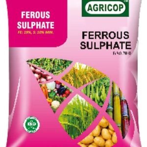 FERROUS SULPHATE