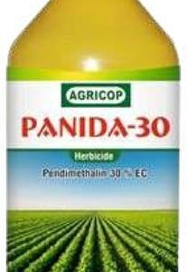 PANIDA-30