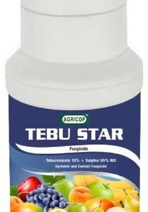 TEBU STAR